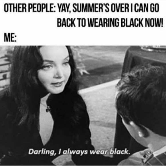 Meet your Posher, Daniella - Picture 3 of 3